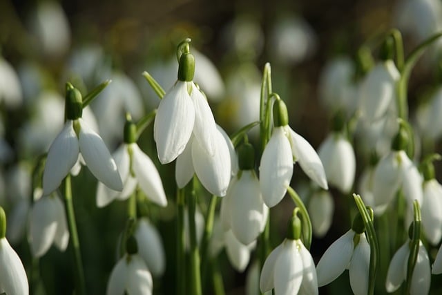 Spring!